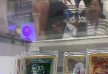 If you could take one piece home from the Pokémon Museum, which one are you choosing?